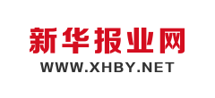 新华报业网 新华报业网logo